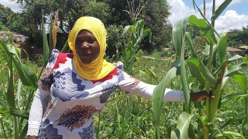 New project aims at strenghtening the resilience and food security of smallholder farmers in Malawi