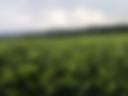 10 Day EPA Farmer Weather Bulletin