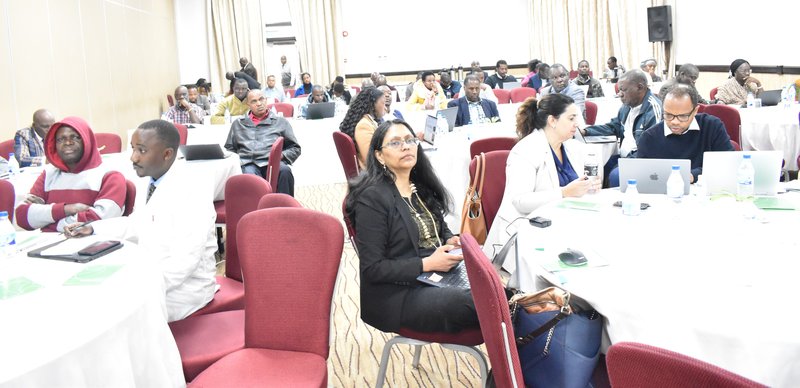 Participants follow proceedings during the workshop.