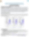 Document - English