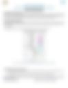 Document - English